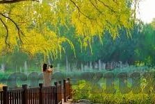 国模吧无码一区二区三区-国模吧的多元探索，一区、二区、三区的独特魅力