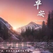 免费成人高清在线视频-免费成人高清在线视频，网络时代的娱乐新选择