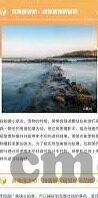 中文字幕人成乱码在线观看-探索中文网络视频的多元性与挑战，中文字幕与内容安全